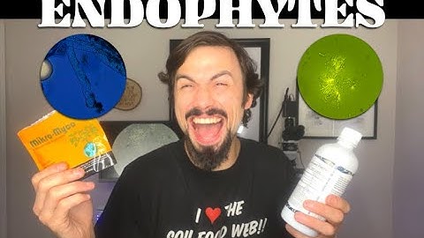 Endophytes - the Real Story with Matt Powers