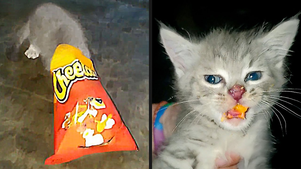 Getting Caught Red Handed