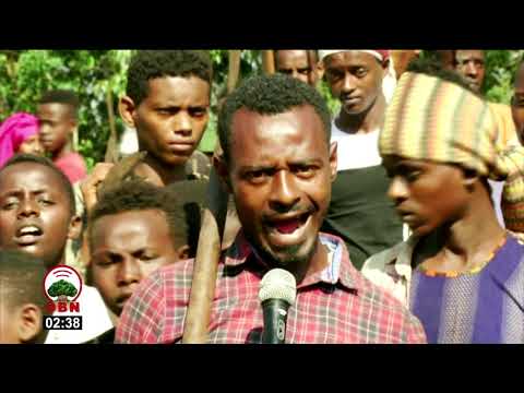 Hiriira Balaaleffannaa ABO Shanee