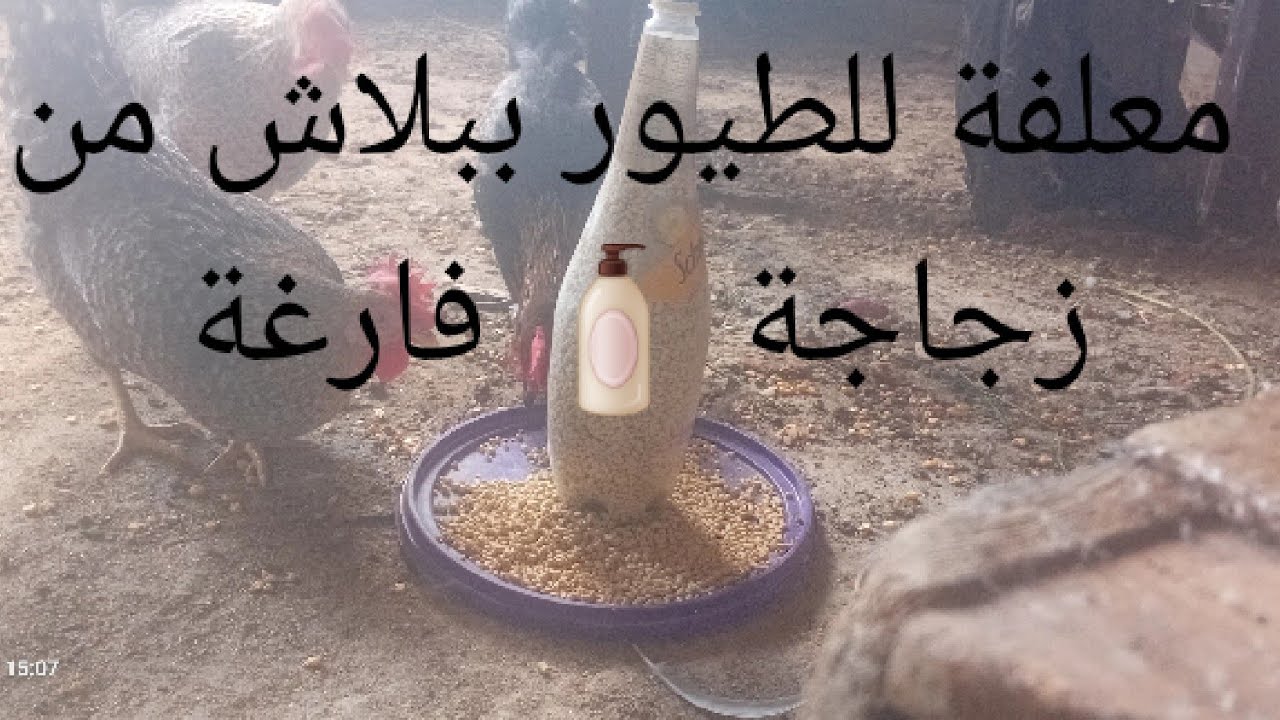 من قزازة بلاستك عملت علافة لطيوري