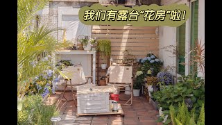 露台花园改造3｜花300改造了一个“花房”！低成本露台改造，露台花园植物推荐｜花园防蚊｜租房改造