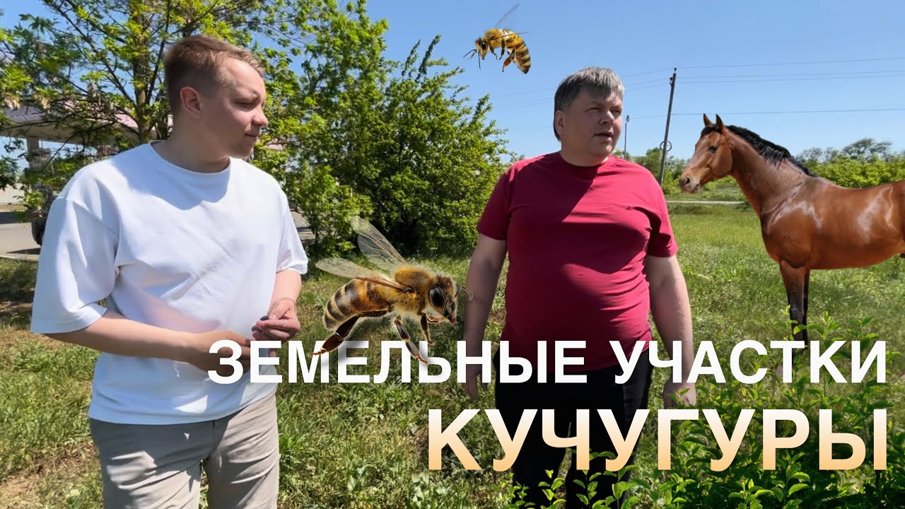 ЗЕМЕЛЬНЫЕ УЧАСТКИ. 3 ЧАСТЬ. КУЧУГУРЫ. НЕДВИЖИМОСТЬ У МОРЯ.