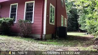 DSCF0563