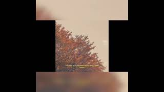 [FREE] Lo-fi Type Beat - Autumn Melody (Prod. by Leemindme) 