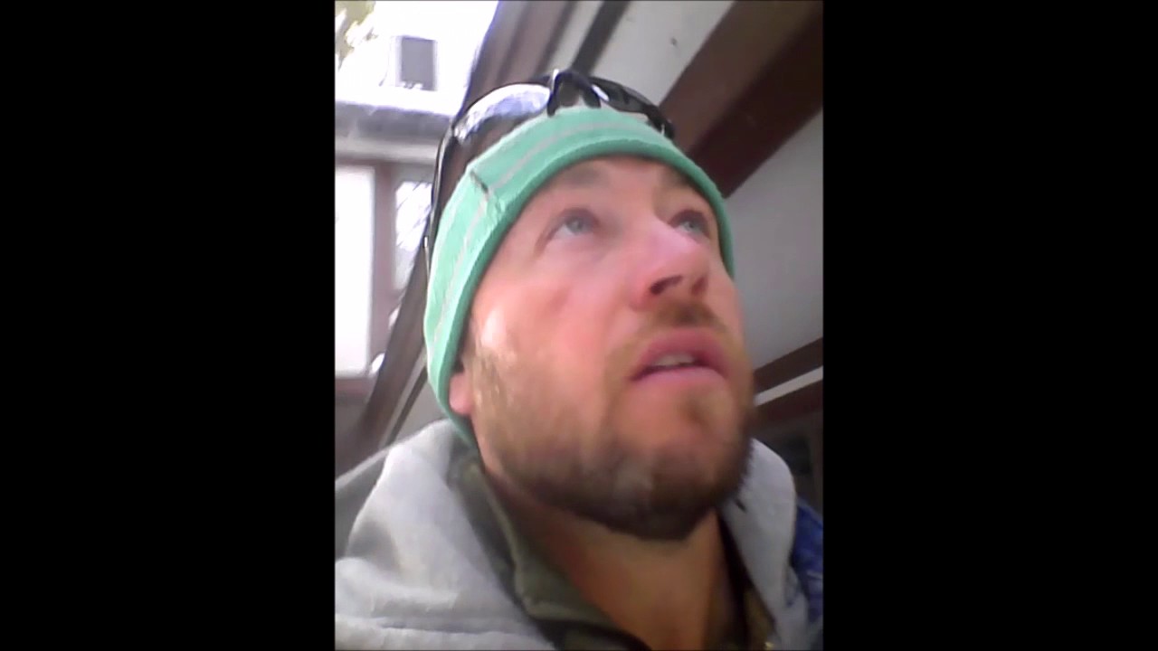 Gray Squirrel Inspection Hampden Maine