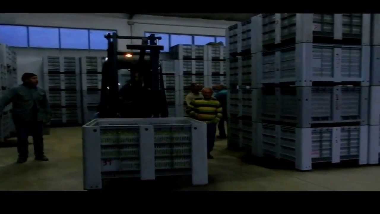 Chiusa Sclafani  Oleificio Di Giorgio