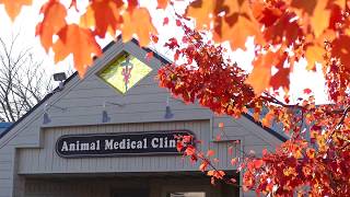 Animal Medical Clinic - Short | Fayetteville, AR
