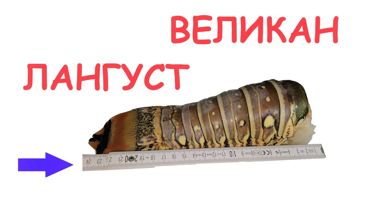 Великан люберцы тойота