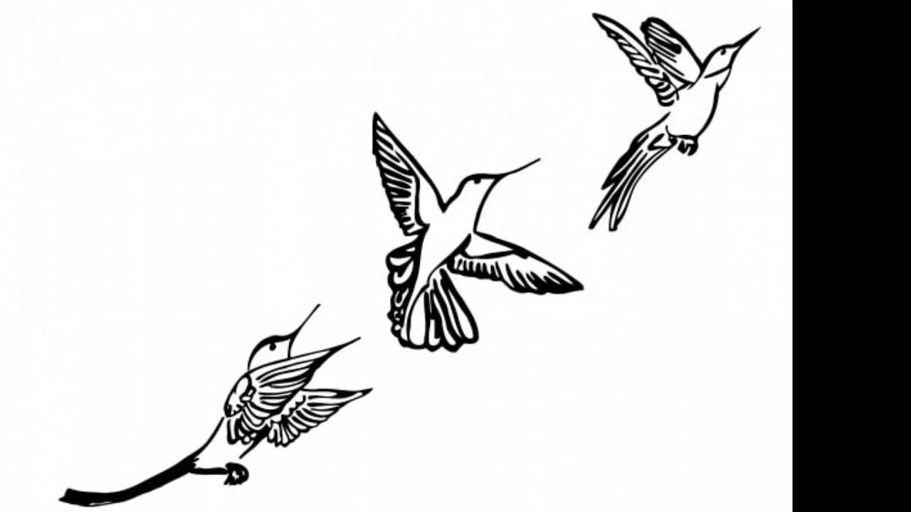 Livestream Douwe Booij