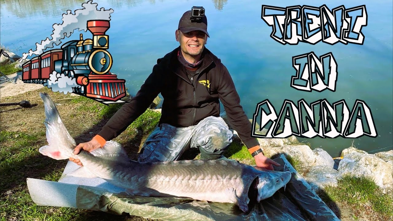 PESCA ALLO STORIONE : I TRENI DEI LAGHI DI TUNA