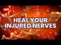 Heal your injured nerves  relieve sharp pain numbness  tingling  nerve regeneration music therapy