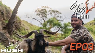 OFF AXIS | HUNDREDS OF INVASIVE GOATS | S1E03