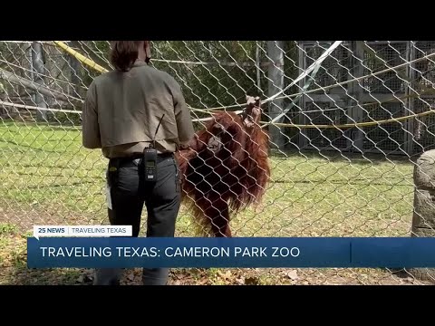 Traveling Texas: Cameron Park Zoo