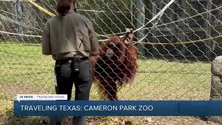 Traveling Texas: Cameron Park Zoo