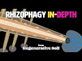 The Rhizophagy Cycle IN-DEPTH | Regenerative Soil with Matt Powers [Course Excerpt]