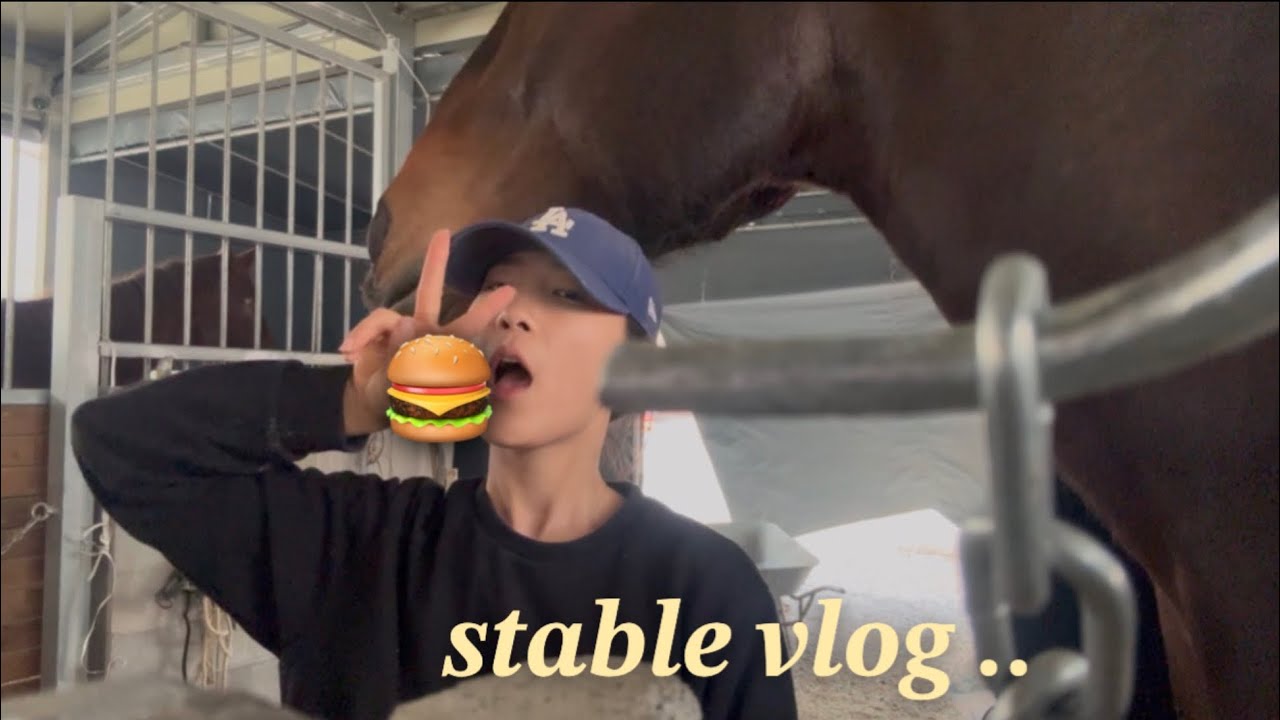 #vlog 에스에이승마장의 일상입니다 (Stable vlog)