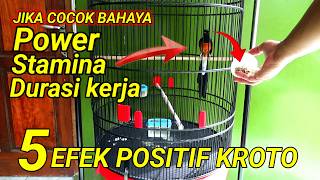 WATCH THIS | The positive effects of KROTO for the MURAI BATU LAPAN ‼️