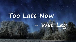 Wet Leg - Too Late Now  Lyrics