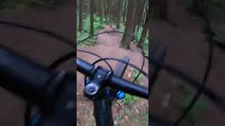 🔥RIP N DIP SWEET JUMPS🤘thornhill mtn