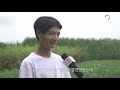 채소밭에 “고속철도”를 세운 중국 대학생 | CCTV 한국어방송