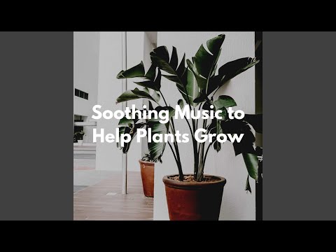 Piano Duo Jazz