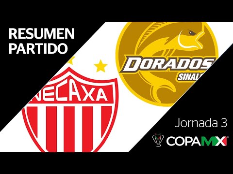 Resumen y Goles
