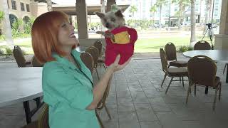 Mandy Kitana aka Lois Griffin dancing with Stewie / Brian from Family Guy