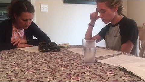 ABS201 Assignment #1 - Mediator Training