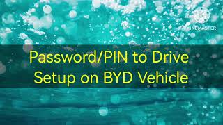 Password/PIN to Drive Setup on BYD Vehicle