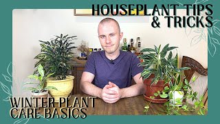 Winter Plant Care Basics | Houseplants Tips & Tricks Ep. 27