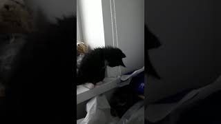 VID 20230601 WA0003