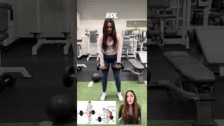 Deep Longitudinal Sling Applied Biomechanics in Kinesology