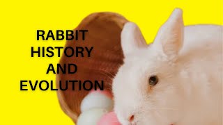 The Hare Raising History and Evolution of Domestic Rabbits