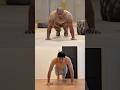 米軍式腕立て伏せ、お面なし本気でやってみた💪🔥 #たくマッスル #腕立て #challenge #pushups