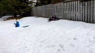 Cat sledding