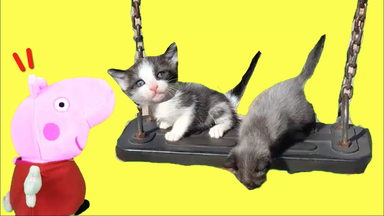 Peppa pig en español / Al parque infantil con Pepa la Cerdita y mis gatitos bebés Luna y Estrella