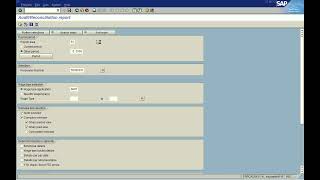 SAP AUDIT REPORT