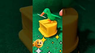 (PR 81)🐥🎉 “This Bird Can Peck Like a Boss – Toy Magic Starts!” #toys #viral #funny #love
