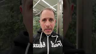 My Thoughts on Quip for Customer360