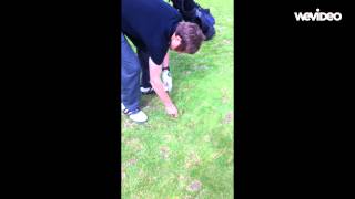 Golf puns