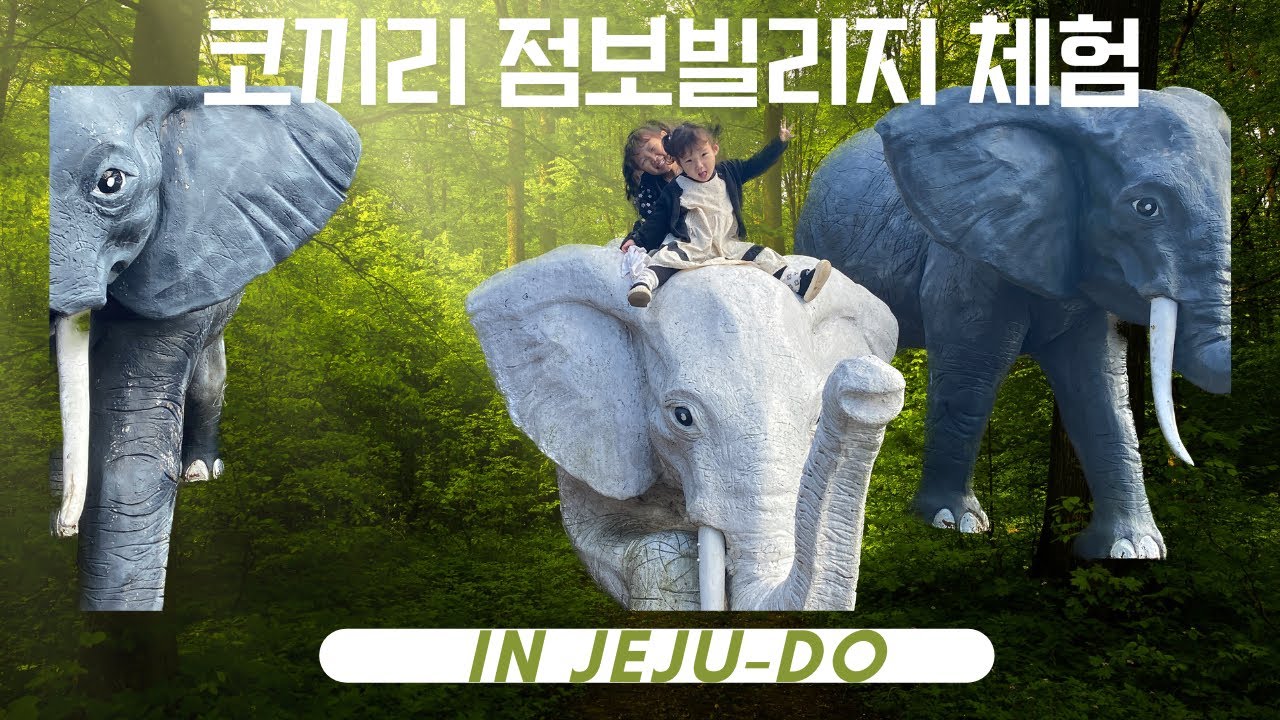 코끼리 점보 빌리지 공연 in 제주