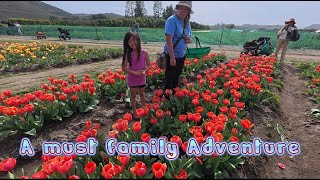 We Found A Massive Hidden Farm Paradise In California The Underwood Family Farm
