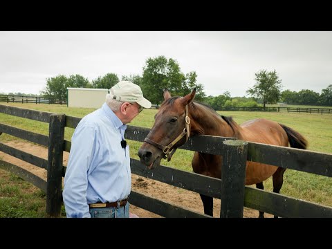 Racing Stars Then, Old Friends Now: Travers Stakes Winners Kicking Back in Kentucky