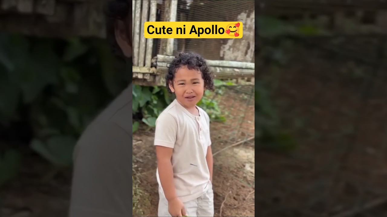 CUTE ni APOLLO🥰 #viral #apollo #shortvideo #viral #ctto #funnymoment #happymoments #eliasjtv