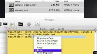 Demux .MP4 files Free on Mac