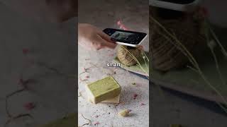 AITA for sending my Airbnb host a 4-minute walkthrough video with timestamps before I unpacked?