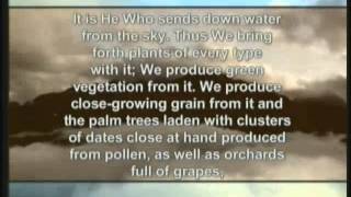 Biomimetics Technology imitates nature
