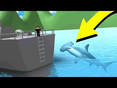Using The New Hammerhead Shark Roblox Sharkbite Youtube