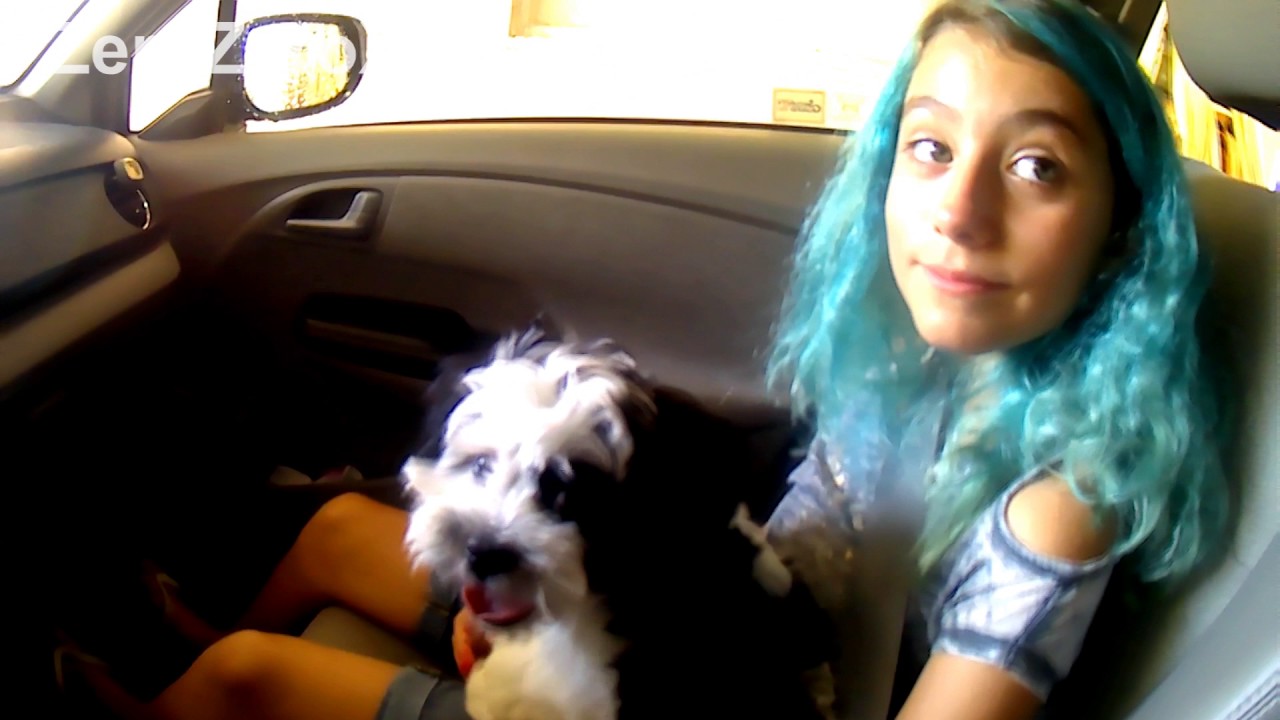 Video VLOG 9 Car Wash Time. Honey Badger. Slimes on Etsy. YouTube