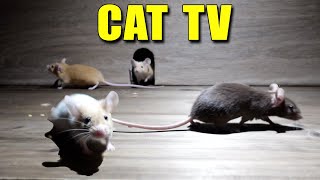 Cat TV ~ 12 Hours of Mouse Videos for Cats to Watch with Bird Sounds. Prevent Boredom TV for Cats